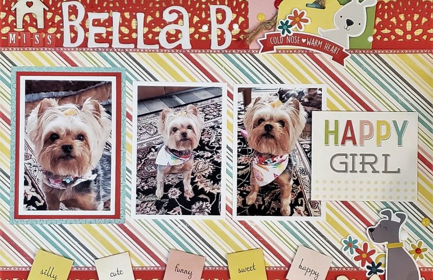 Scrap Our Stash | November “Pick Your Side” Sketch Challenge | Miss Bella “B”