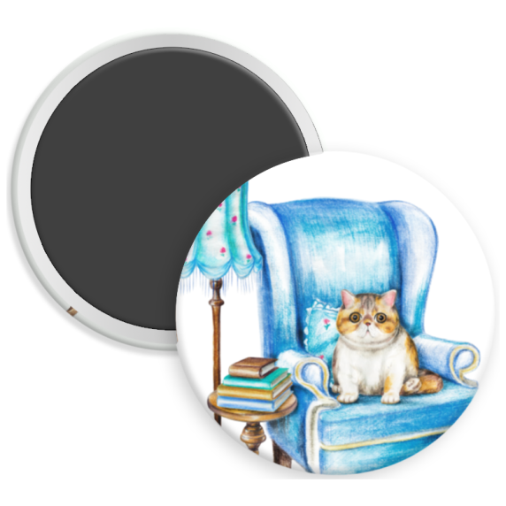 Cat on Blue Chair