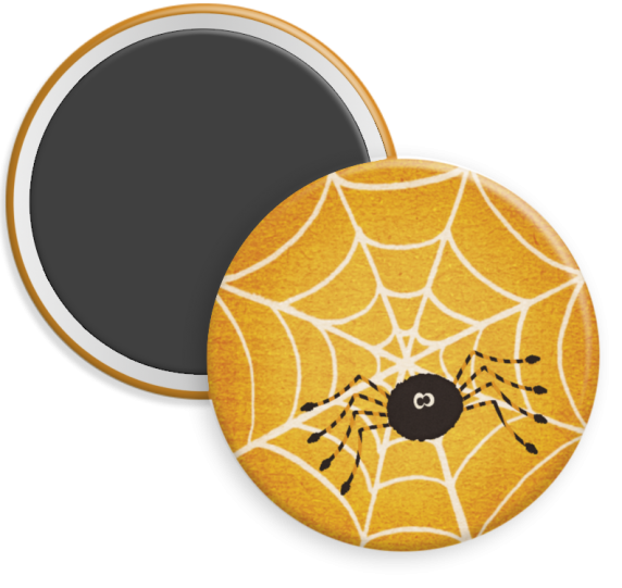 Spider in Web