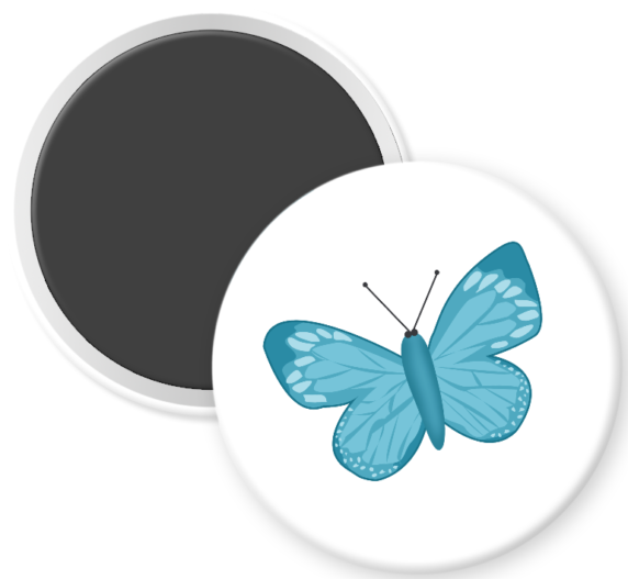 Teal Butterfly